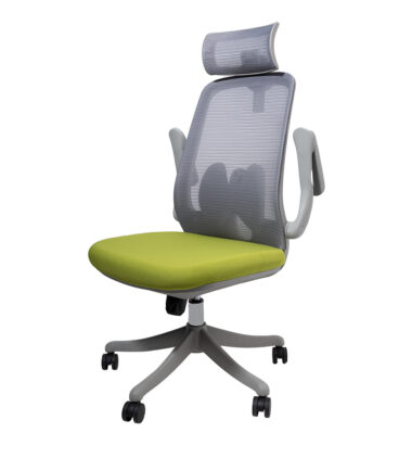 Grey/Green High Back Mesh Chair at Best Price